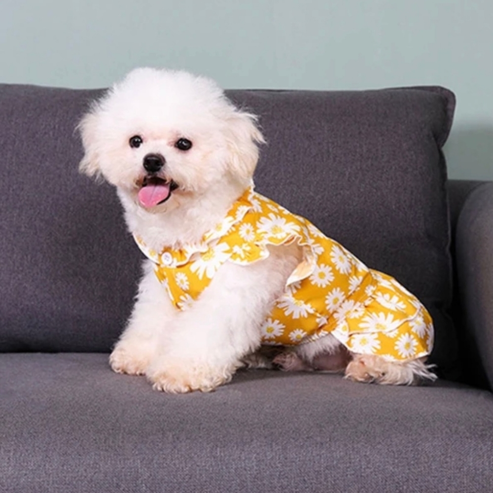 NWT Doggie Summer Dress Size Xl . - Picture 1 of 2